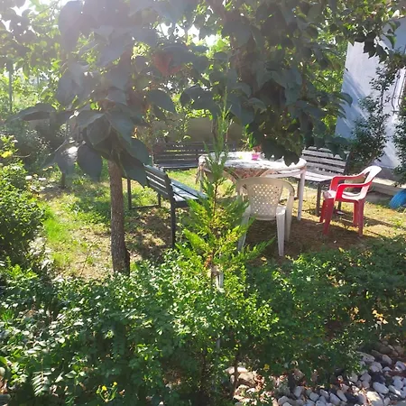 Guest house Shtepi Me Qera, Altini Pogradec